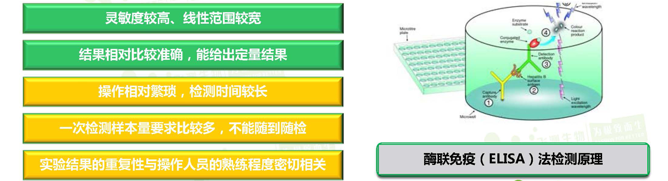 酶聯(lián)免疫分析方法（ELISA）