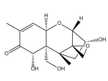 嘔吐毒素