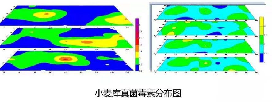 真菌毒素分布